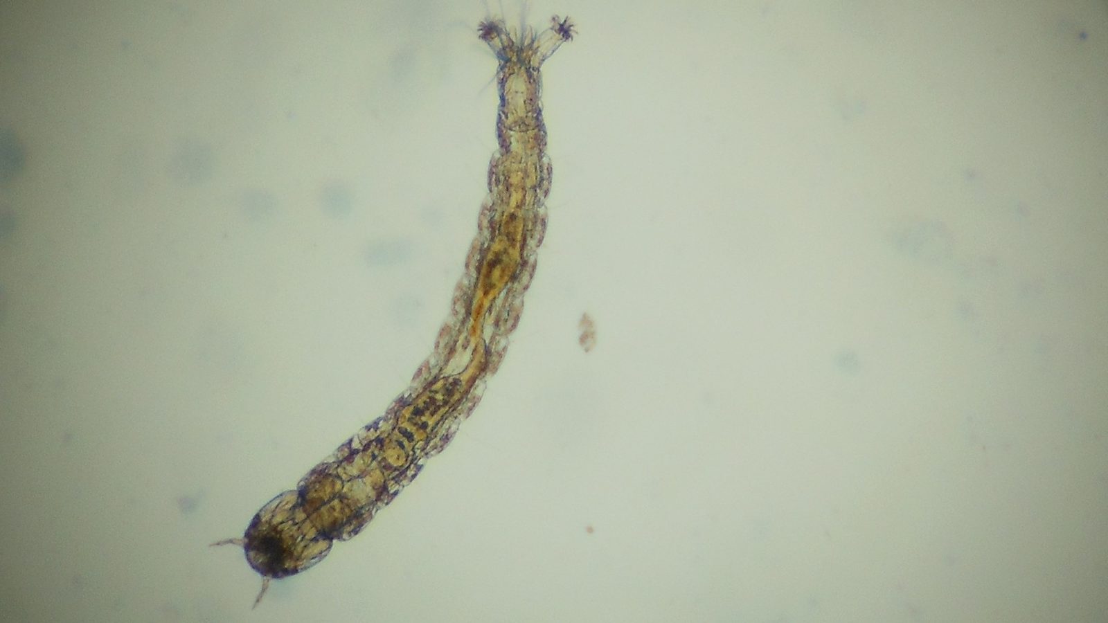 15-Mar Life Beneath the Surface Section Image