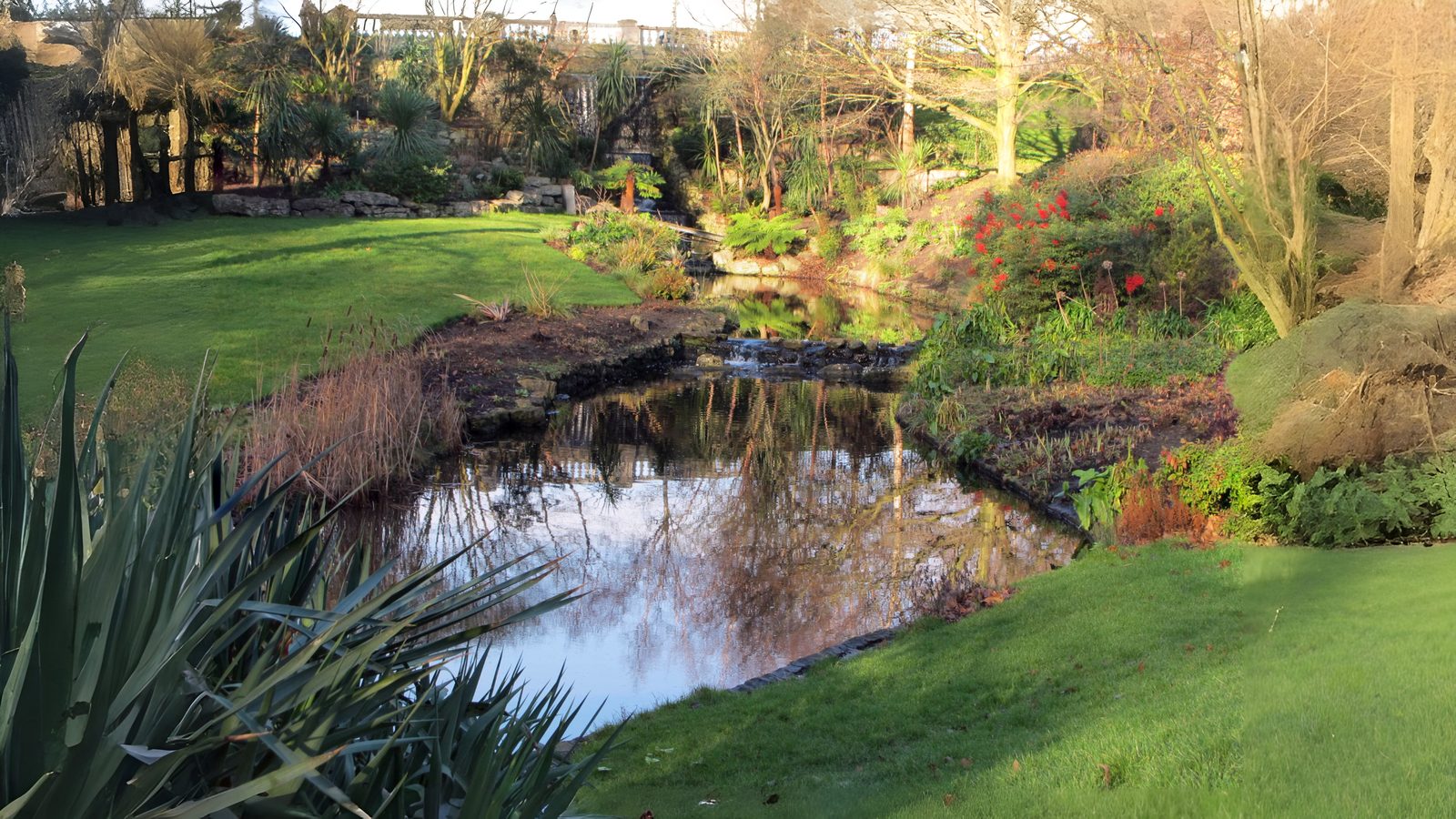 16-Feb Reawakening of Pond Life Section Image