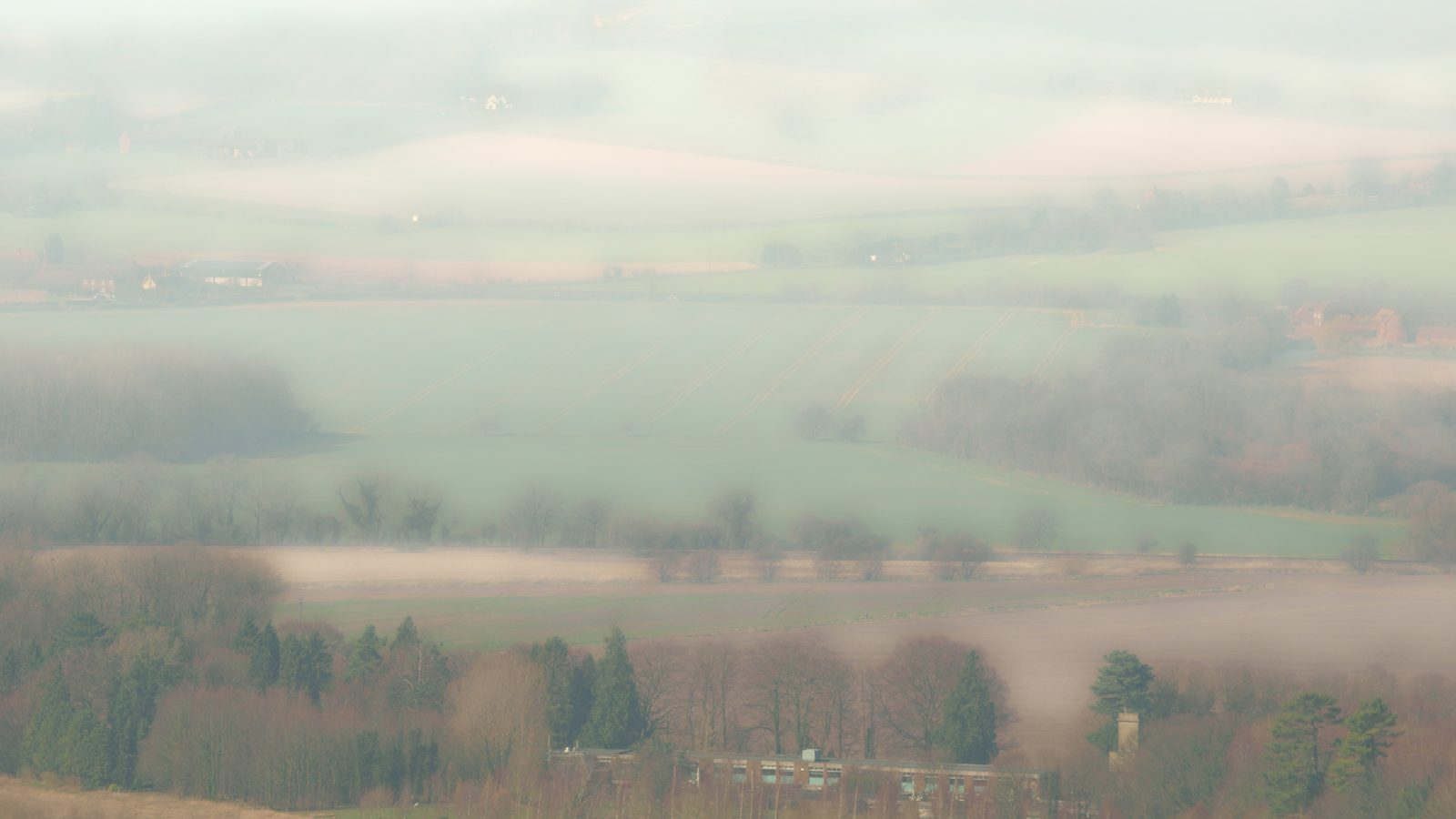 17-Feb Nature's Silent Prelude to Spring Section Image