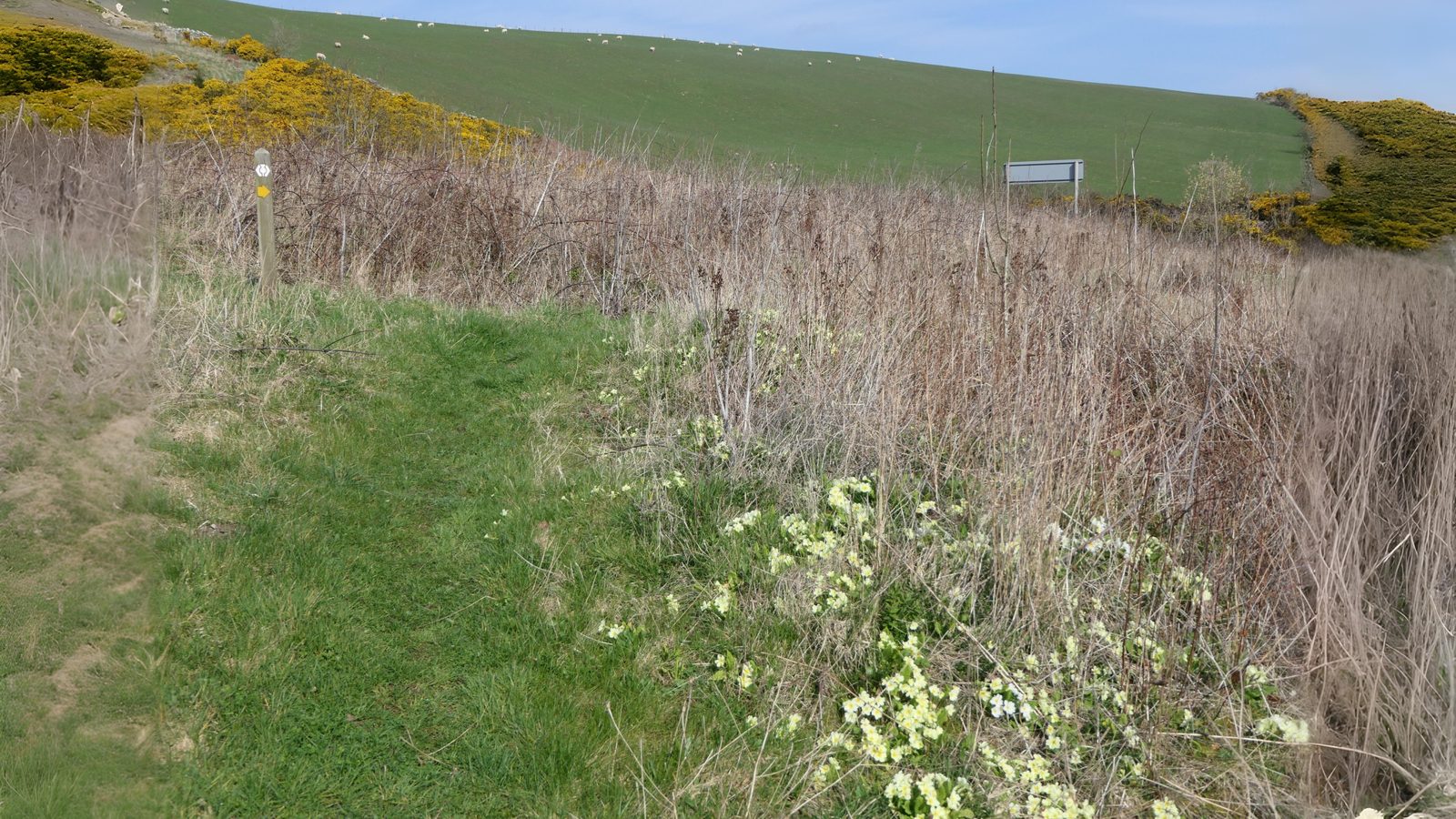 19-Apr London’s Primrose Path Section Image