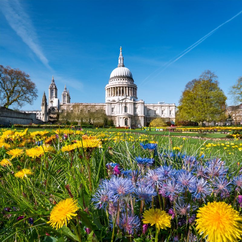 20-Apr London’s Wildflower Wonders