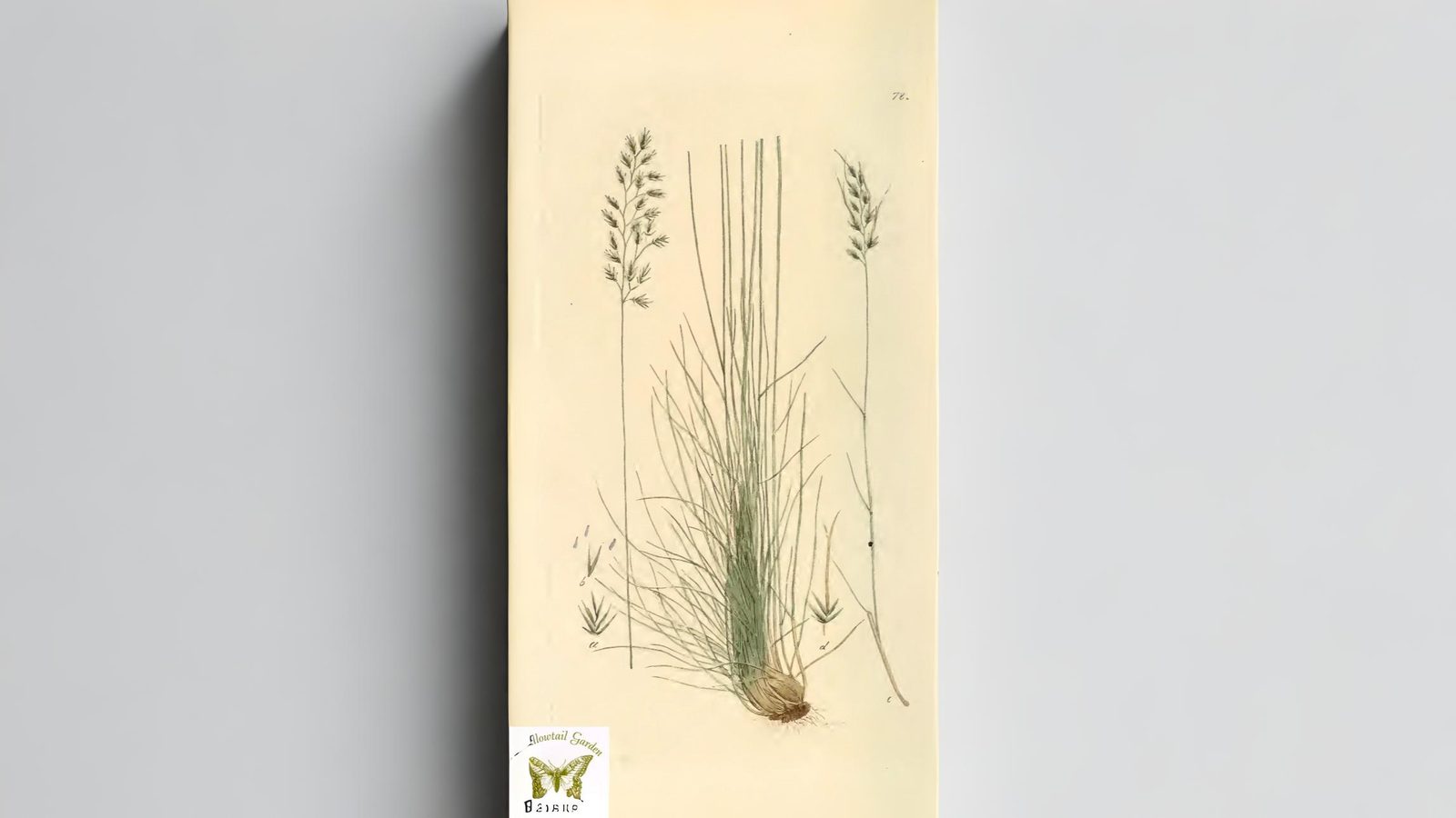 16-May London’s Secret Grasses Section Image