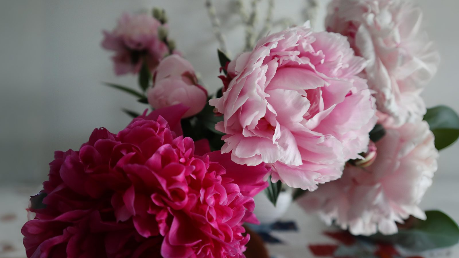 31-May Scent & Sensibility: London’s Forgotten Perfume Garden Section Image