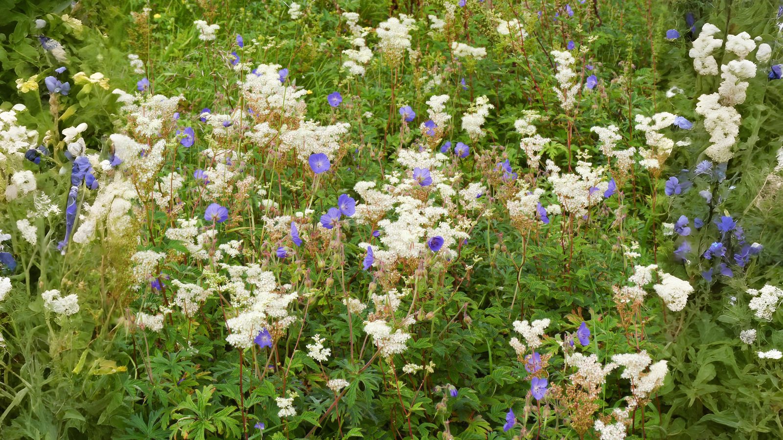 02-June June’s Secret Scents of London Section Image