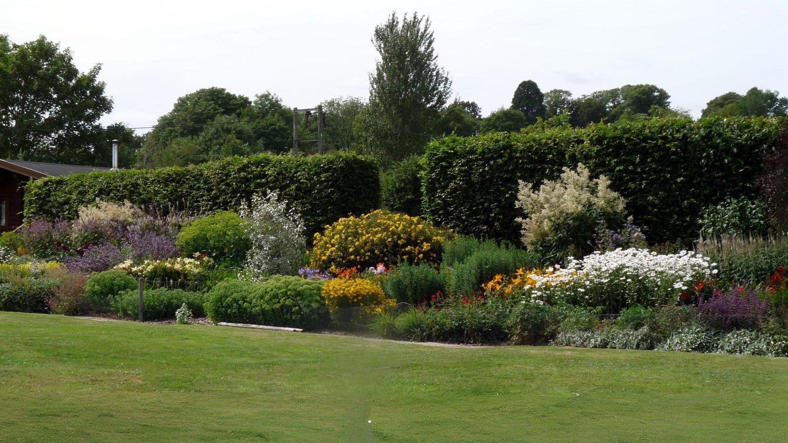 16-June London’s Scented Roses Section Image
