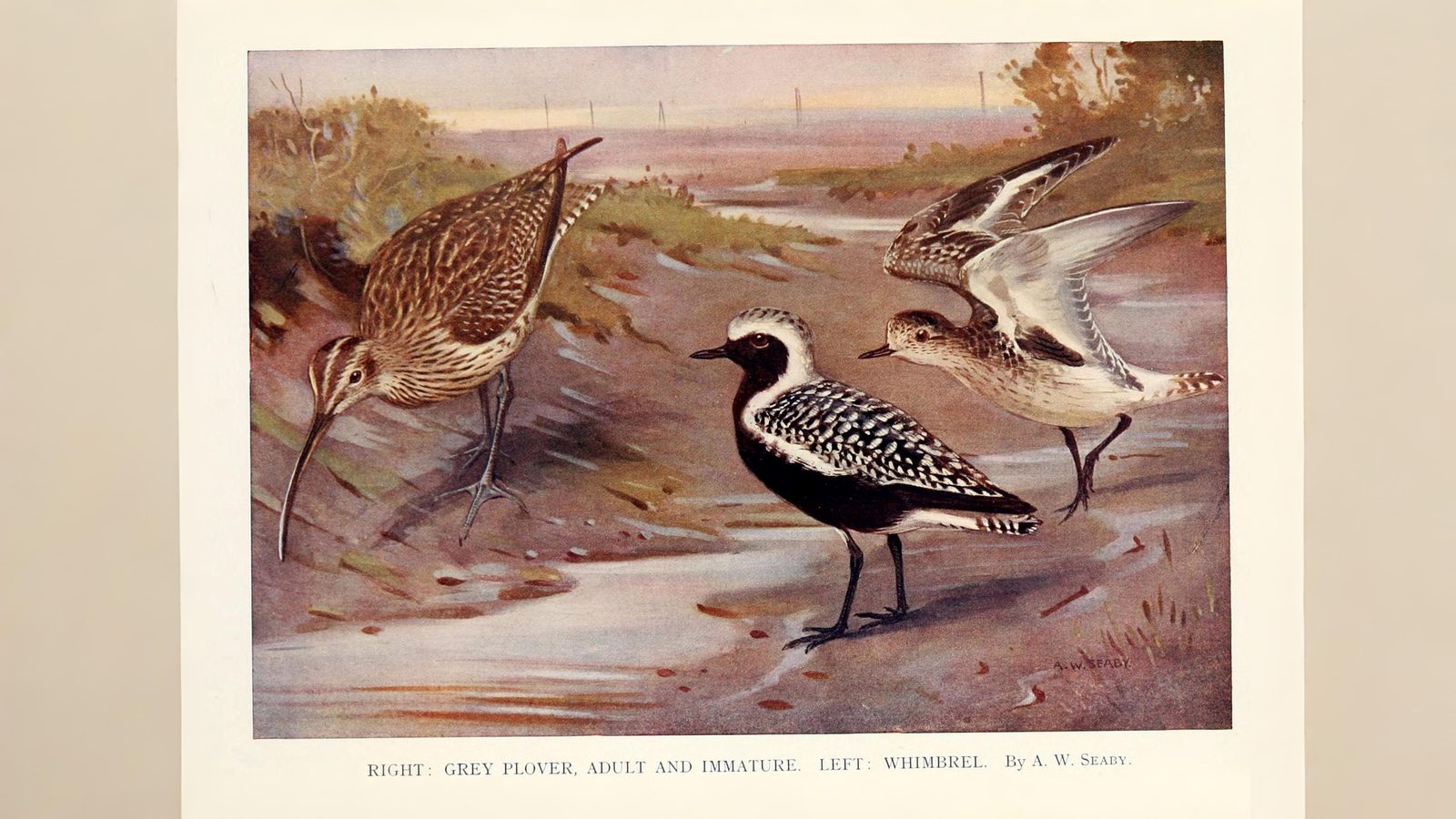 04-July London’s July Migrations Section Image
