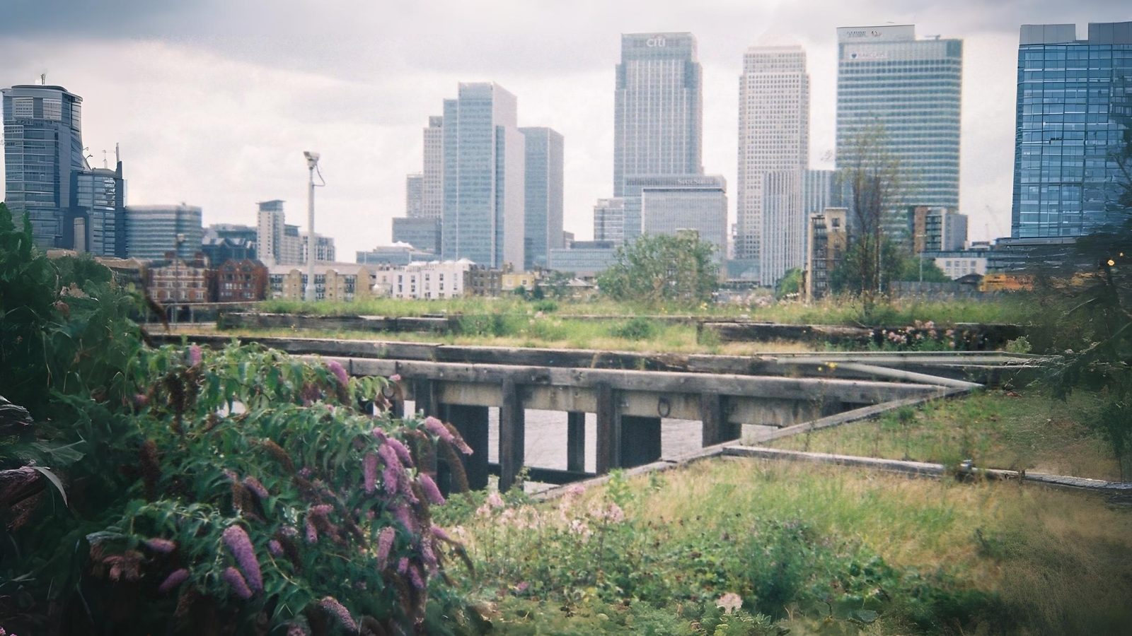09-July London’s Wasteland Wonders Section Image