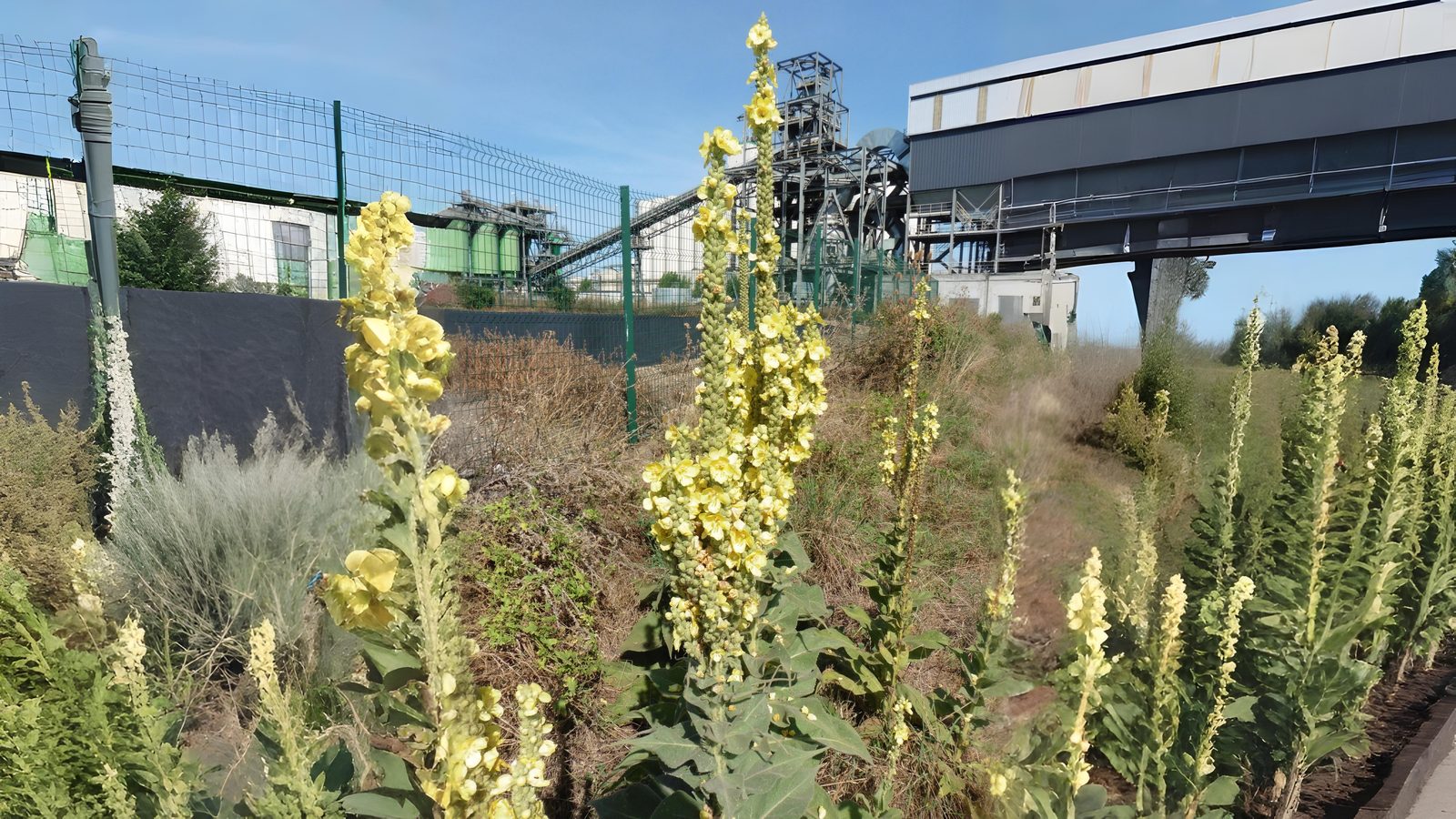 09-July London’s Wasteland Wonders Section Image