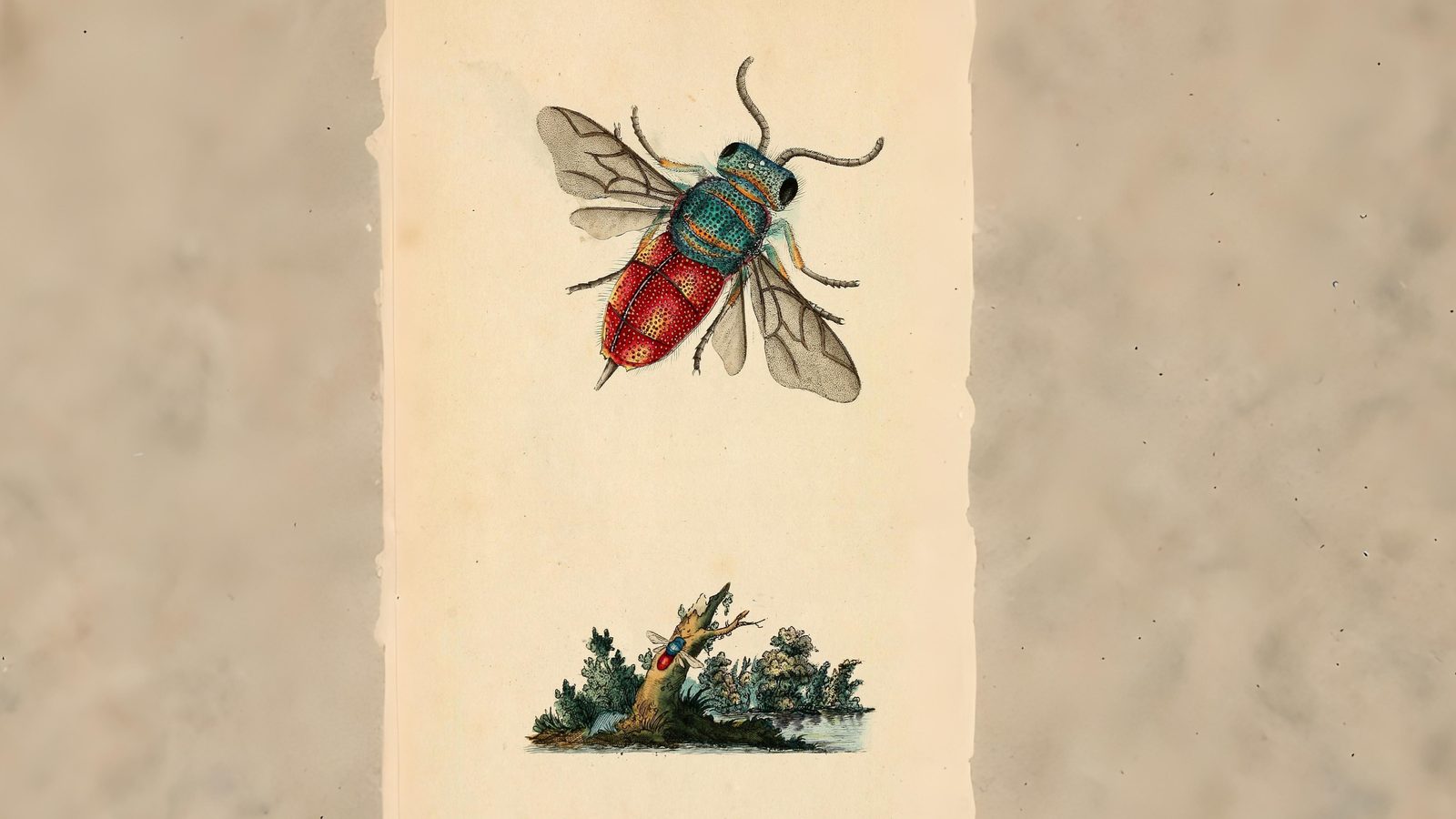 27-July Hive Minds: London’s Social Insects Uncovered Section Image
