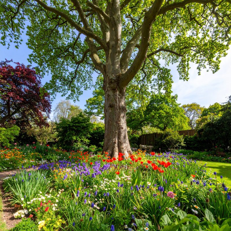 08-Aug London’s Secret Healing Gardens