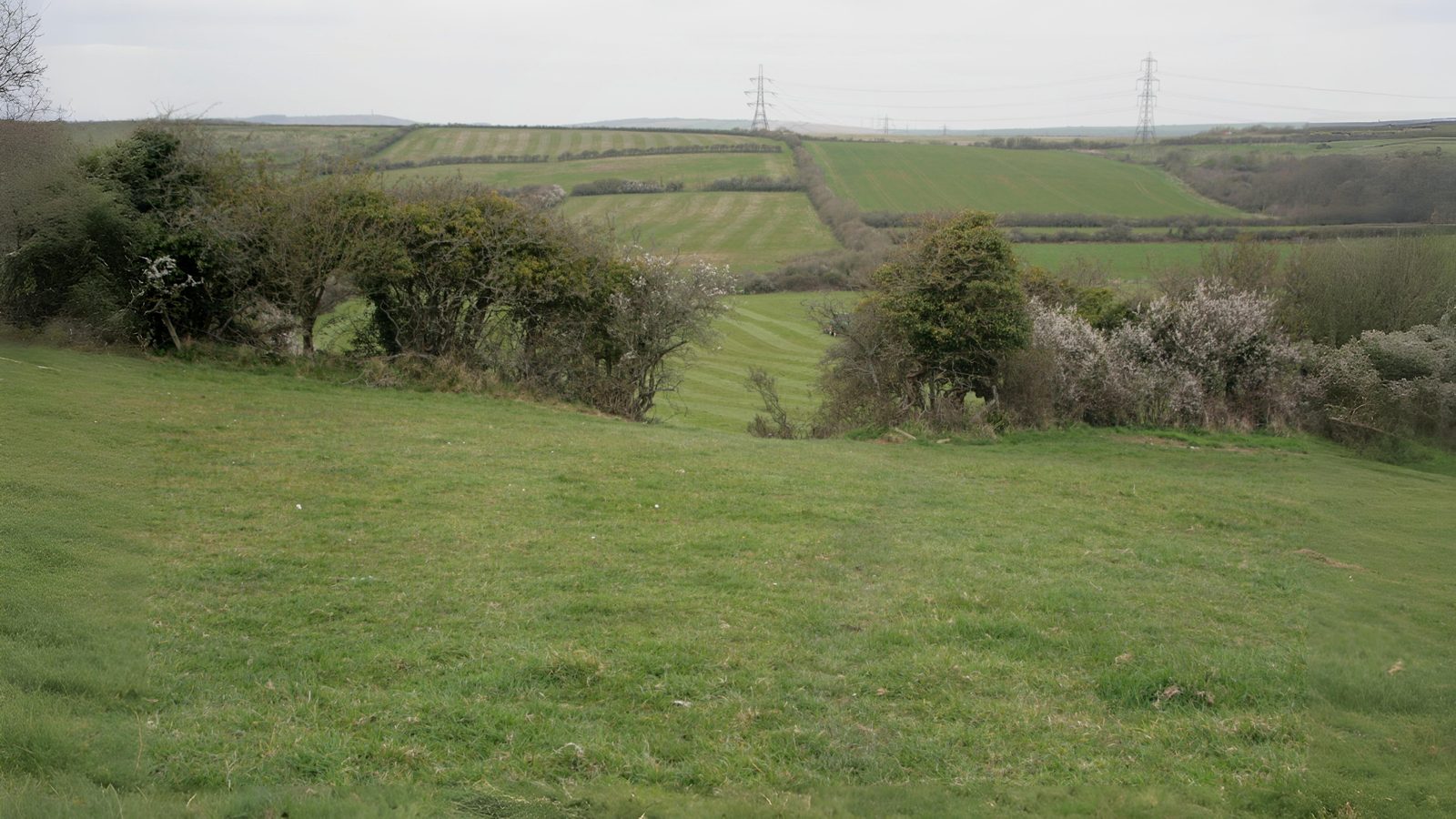 05-Sept Secrets of the Hedgerow Section Image