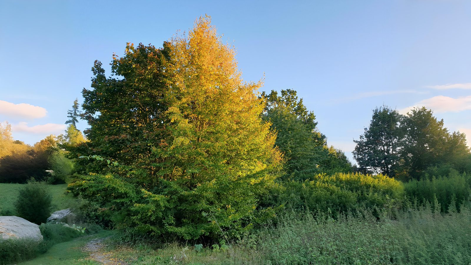 10-Sept September’s Shifting Shades Section Image