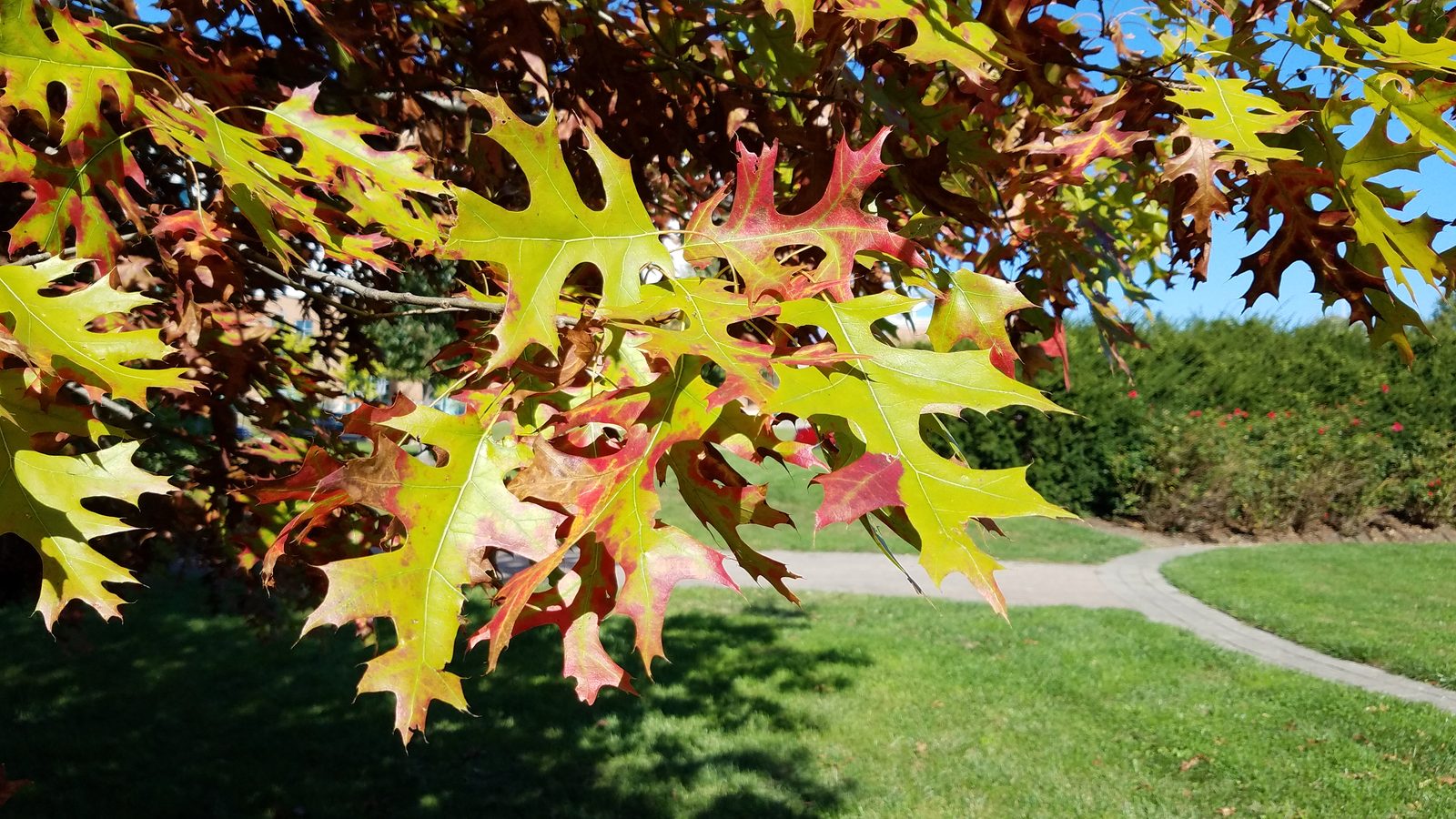 10-Sept September’s Shifting Shades Section Image
