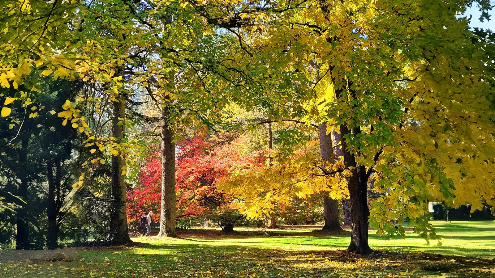 01-Oct Guide to Autumn Splendor Section Image
