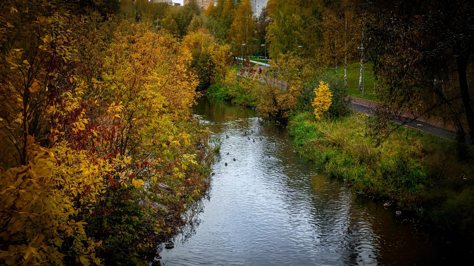 02-Oct London’s Autumn Colour Show Begins Section Image