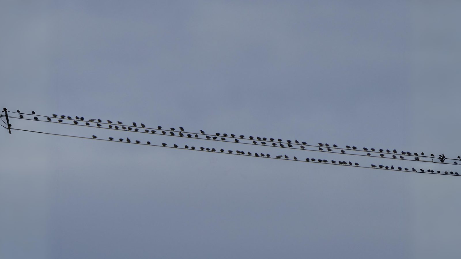 04-Oct October's Lingering Melodies Section Image