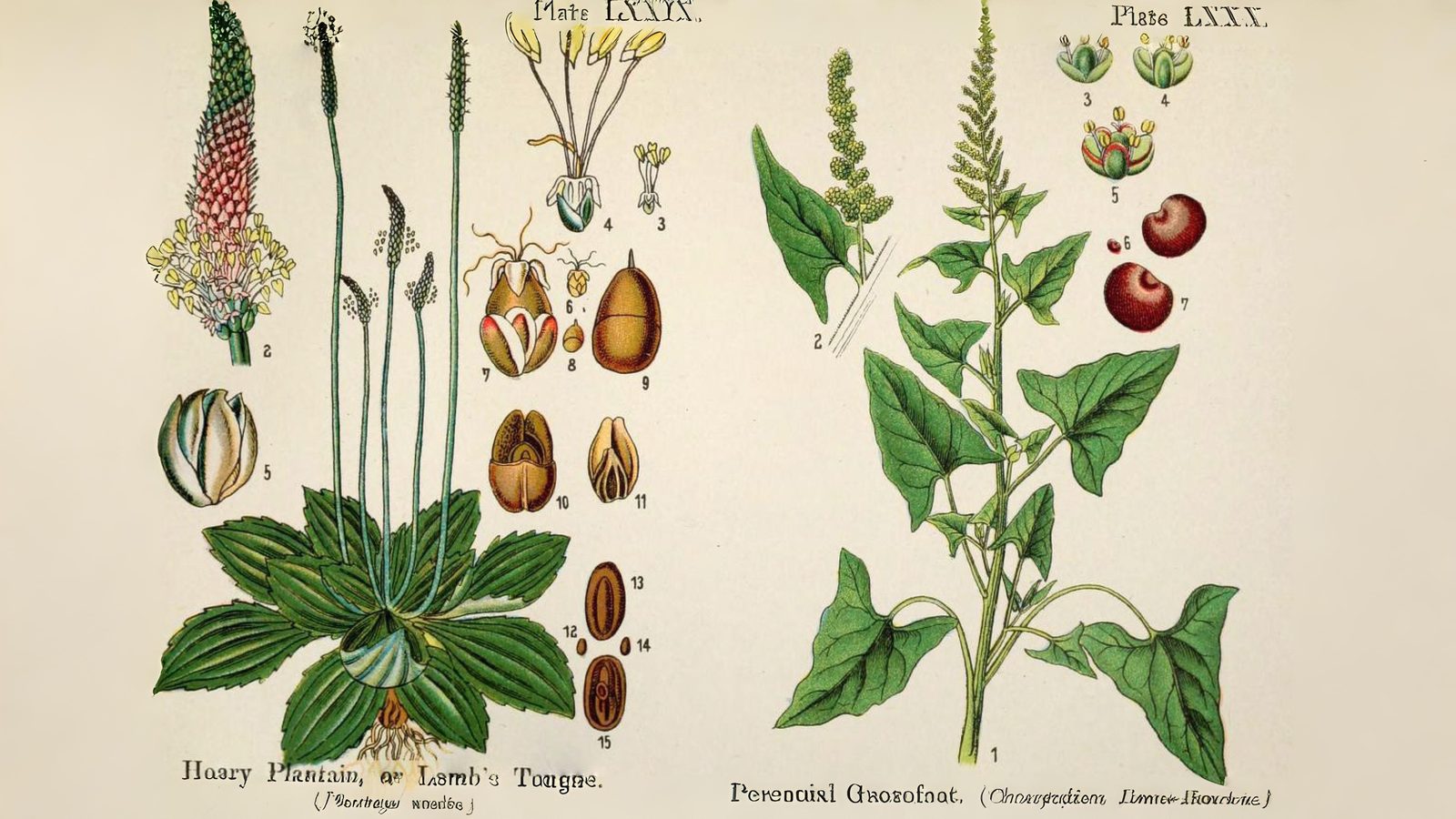 10-Oct October's Olfactory Oasis Section Image