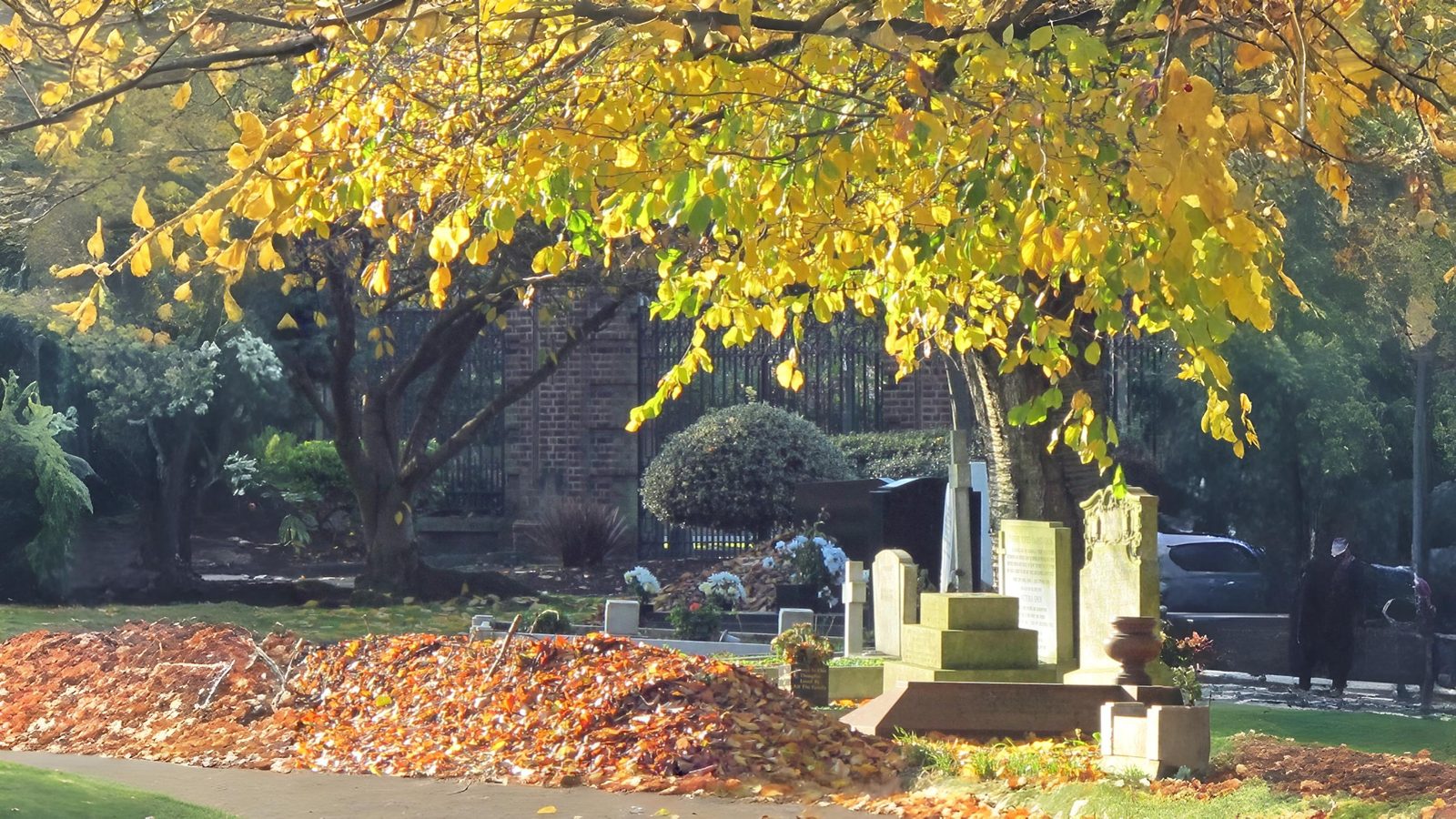13-Oct October’s Blaze of Colour Section Image