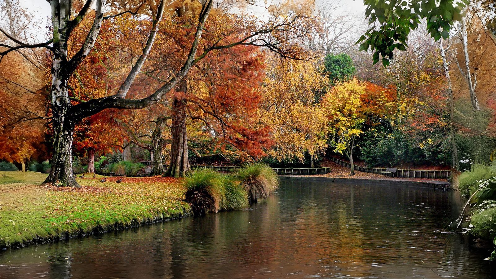 13-Oct October’s Blaze of Colour Section Image