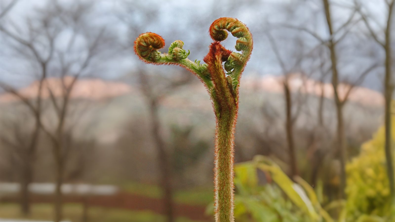 22-Mar London’s Wild Green Wonders Section Image