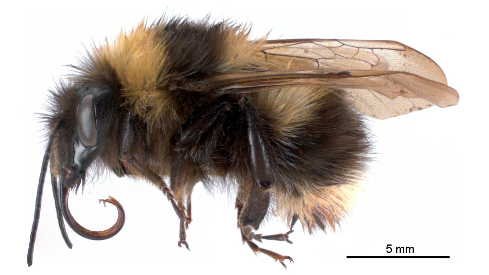 29-Mar London’s Insect Revival Section Image